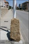 Image00001