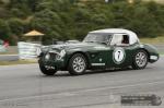 MG 6528