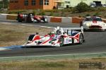 MG 7579