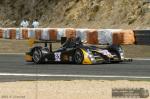 MG 7908