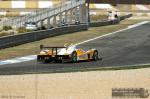 MG 7983