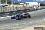 MG 9183